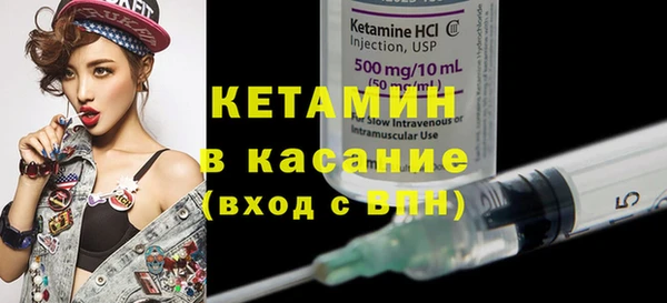 шишки Медвежьегорск
