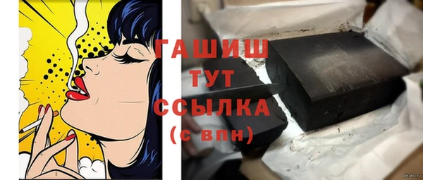 шишки Медвежьегорск