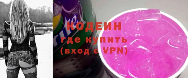 шишки Медвежьегорск