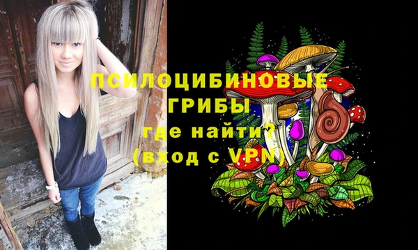 спайс Мегион