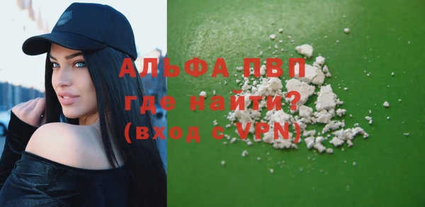 шишки Медвежьегорск