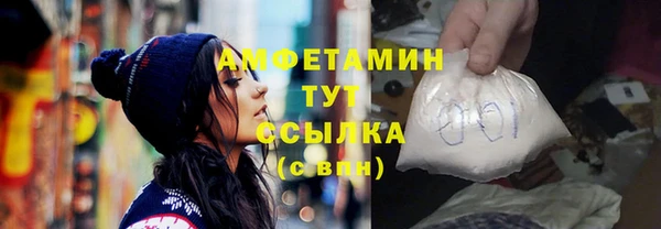 шишки Медвежьегорск