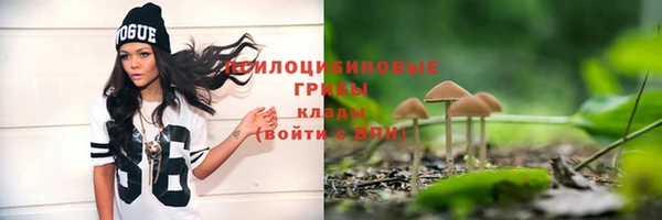 спайс Майский