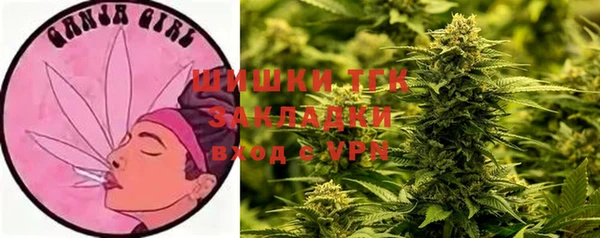 PSILOCYBIN Магадан