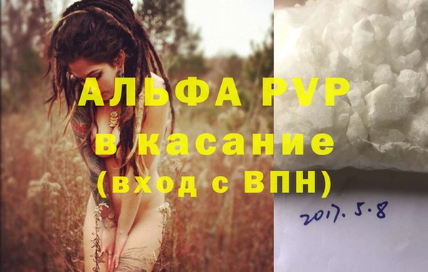 шишки Медвежьегорск