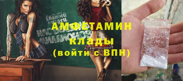 шишки Медвежьегорск