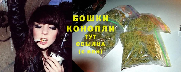 СК Медногорск
