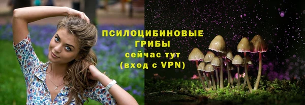 СК Медногорск