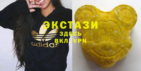 СК Медногорск