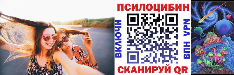 Псилоцибиновые грибы Magic Shrooms  Купить закладки  Андреаполь 