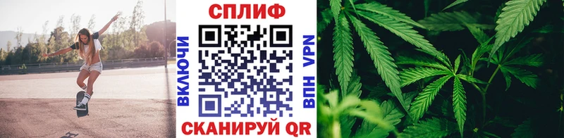 Марихуана LSD WEED  Купить закладки  Андреаполь 